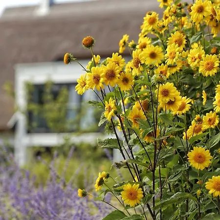 Kapitaensweg 28 Semesterbostad